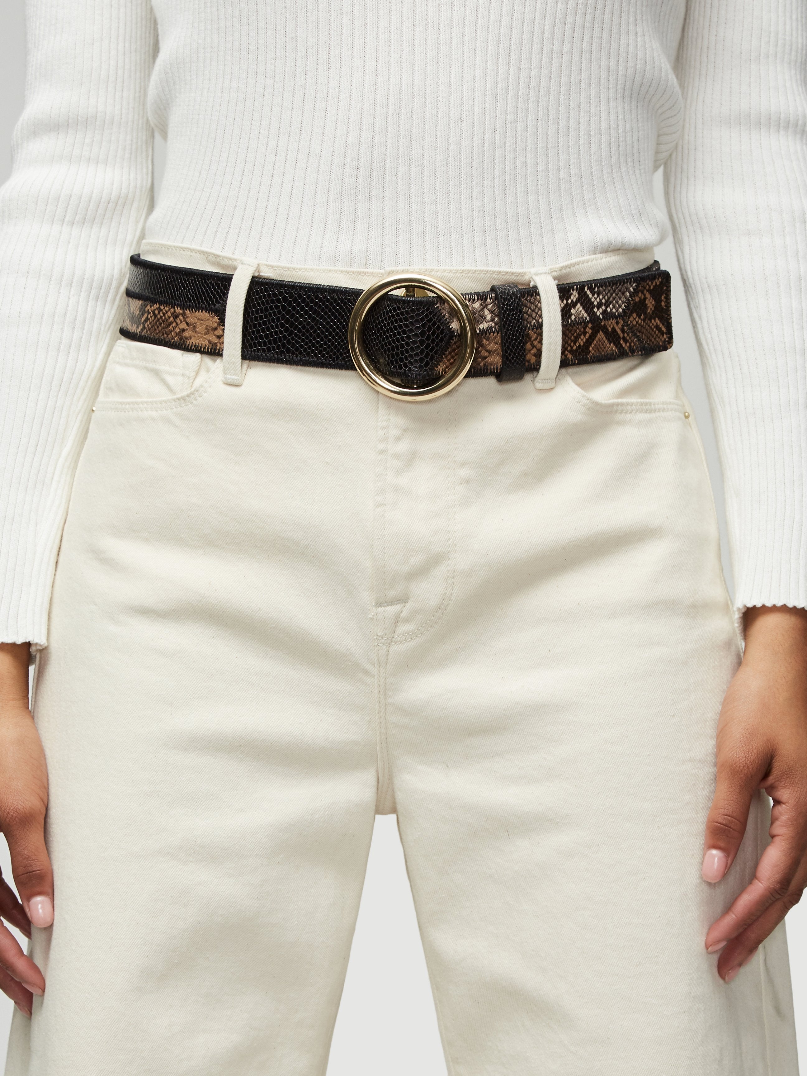 belt front view