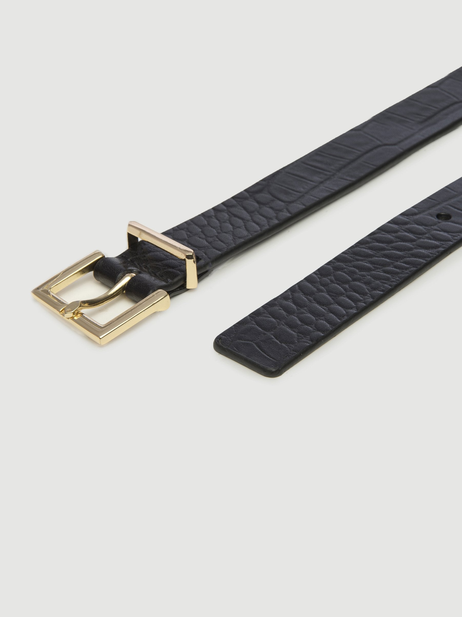 belt detail view